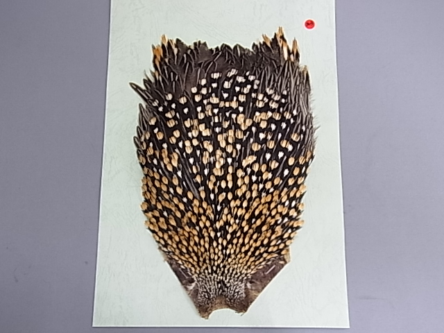 Anglers Paradise【フライフィッシングショップ アングラーズ