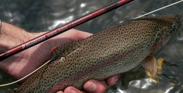 Anglers Paradise【フライフィッシングショップ アングラーズ