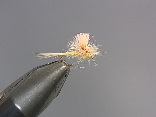 TMC��ADW�ѥ饷�塼�ȡ�����������������