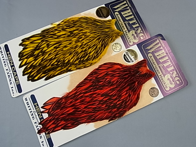 ۥ磻ƥ󥰡ꥫBLWإͥååȡMINTʣ