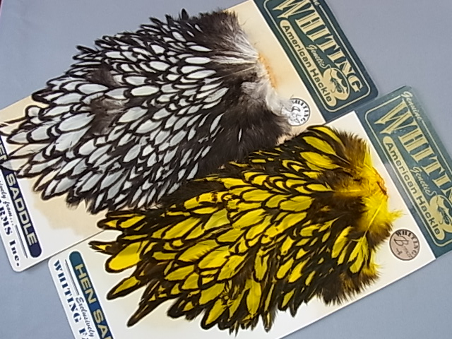 ۥ磻ƥ󥰡ꥫBLWإ󥵥ɥ롡åȡMINTʣ