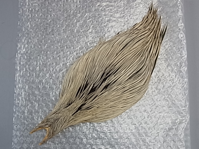 �ۥ磻�ƥ��󥰡����å��ͥå���