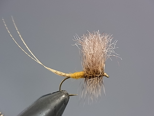 Anglers Paradise【フライフィッシングショップ アングラーズ
