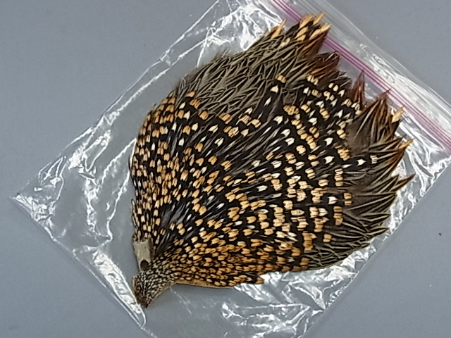 ジャングルコック ジャングルコック