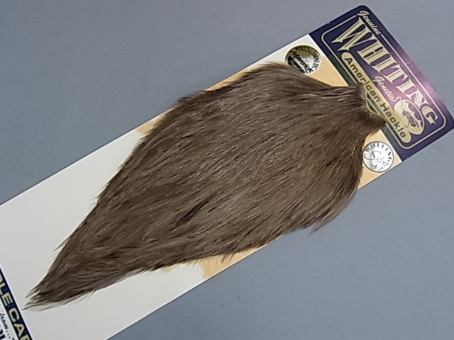 ۥ磻ƥ󥰡ꥫ󥳥åͥåɡߥǥMINT