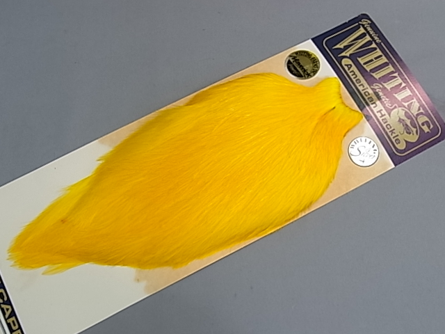 ۥ磻ƥ󥰡ꥫ󥳥åͥåɡMINT