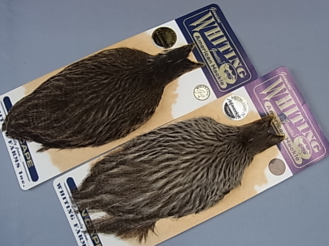 ۥ磻ƥ󥰡쥪إͥååȡMINTʣ