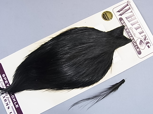 ۥ磻ƥ󥰡ڥåͥåɡ֥åMINT