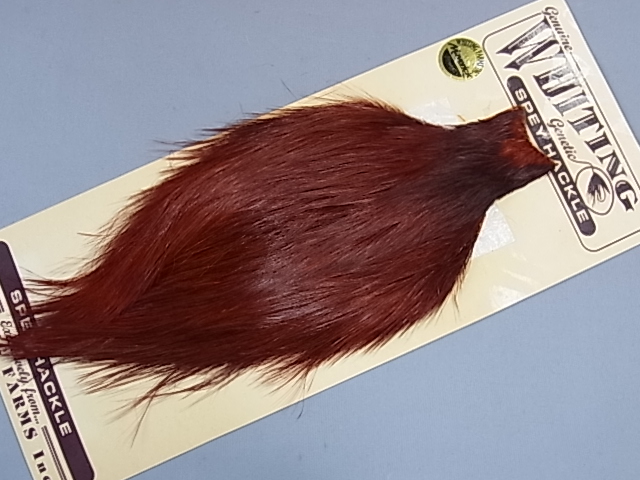 ۥ磻ƥ󥰡ڥåͥåɡ֥饦MINT