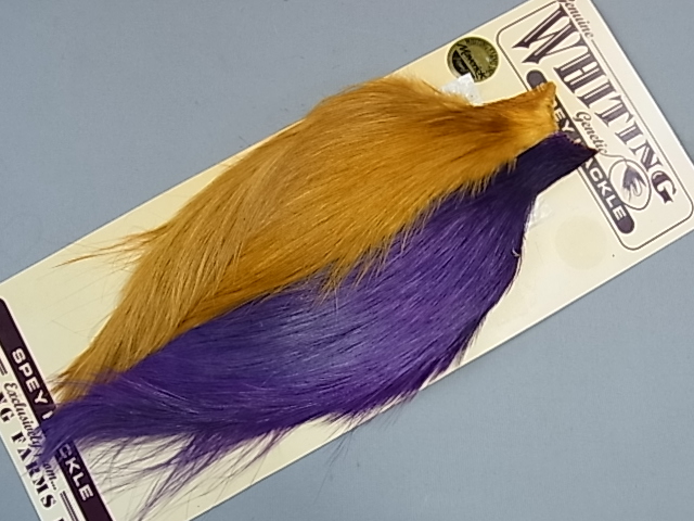 ۥ磻ƥ󥰡ڥåͥååȡMINT