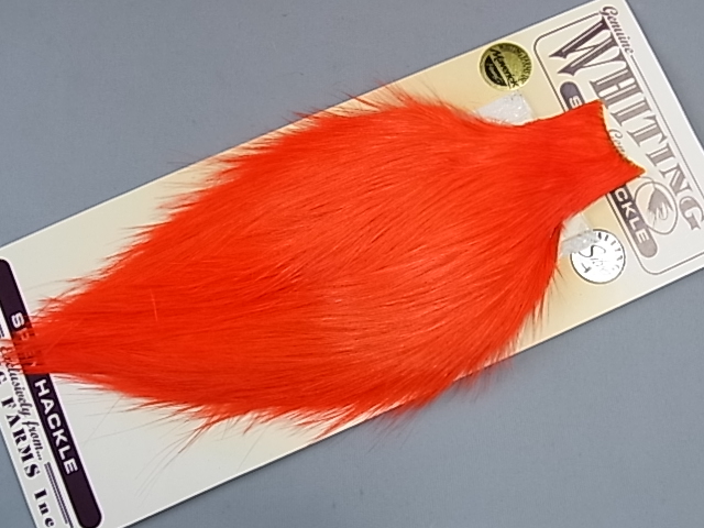 ۥ磻ƥ󥰡ڥåͥåɡ󥸡MINT