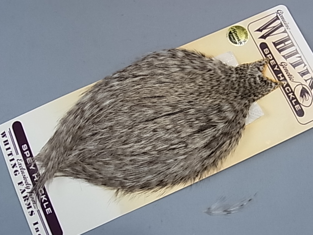 ۥ磻ƥ󥰡ڥåͥåХꥢȡMINT