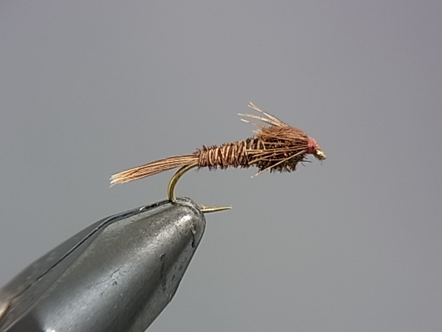 Anglers Paradise【フライフィッシングショップ アングラーズ