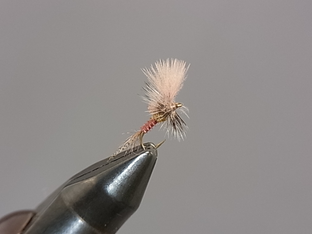 アイボリー×レッド 美品 ループ初期型トラディショナル ドライフライ
