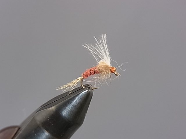 Anglers Paradise【フライフィッシングショップ アングラーズ