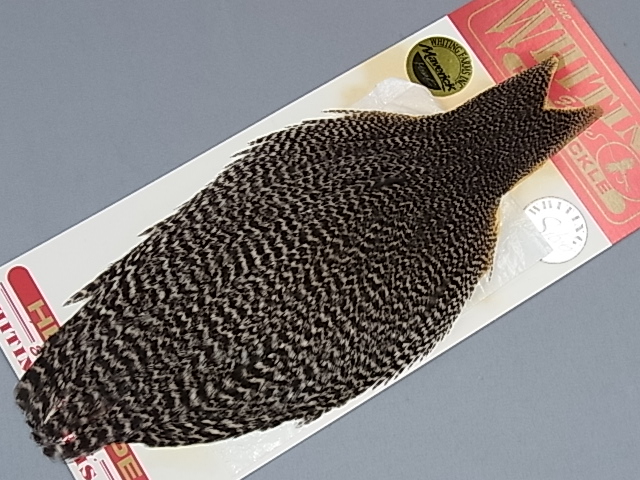 ۥ磻ƥ󥰡إͥåꥺ꡼EX+