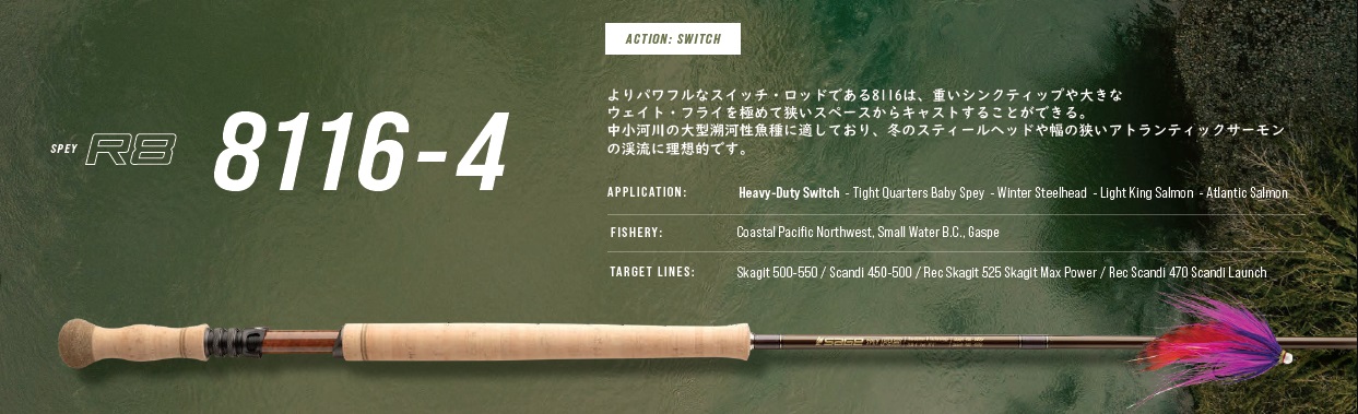 SPEY R8 8116-4 11'6" #8 4ԡ