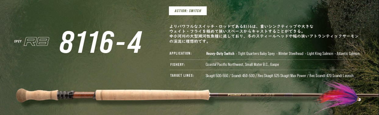 SPEY R8 8116-4 11'6" #8 4ԡ