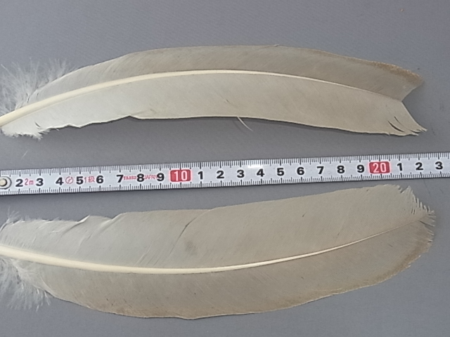 �������������롡�饤�ȥ��󡡡ʴ���No.2��