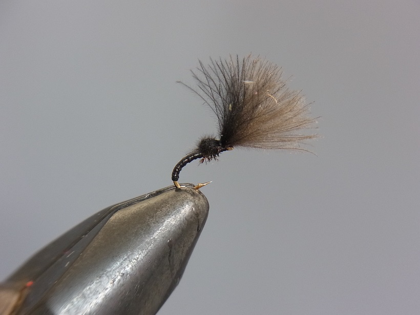 �ߥå������⡼���������ѡ���������