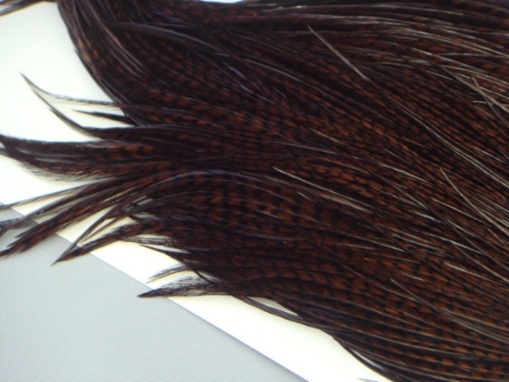 Anglers Paradise【フライフィッシングショップ アングラーズ