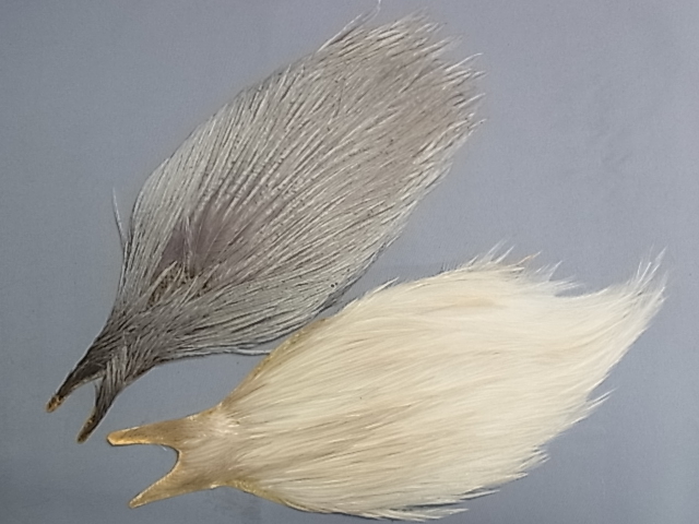 �ҥ塼�С��ɡ��ۥ磻�ƥ��󥰡����å��ͥå����å�